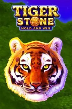 Tiger-Stone